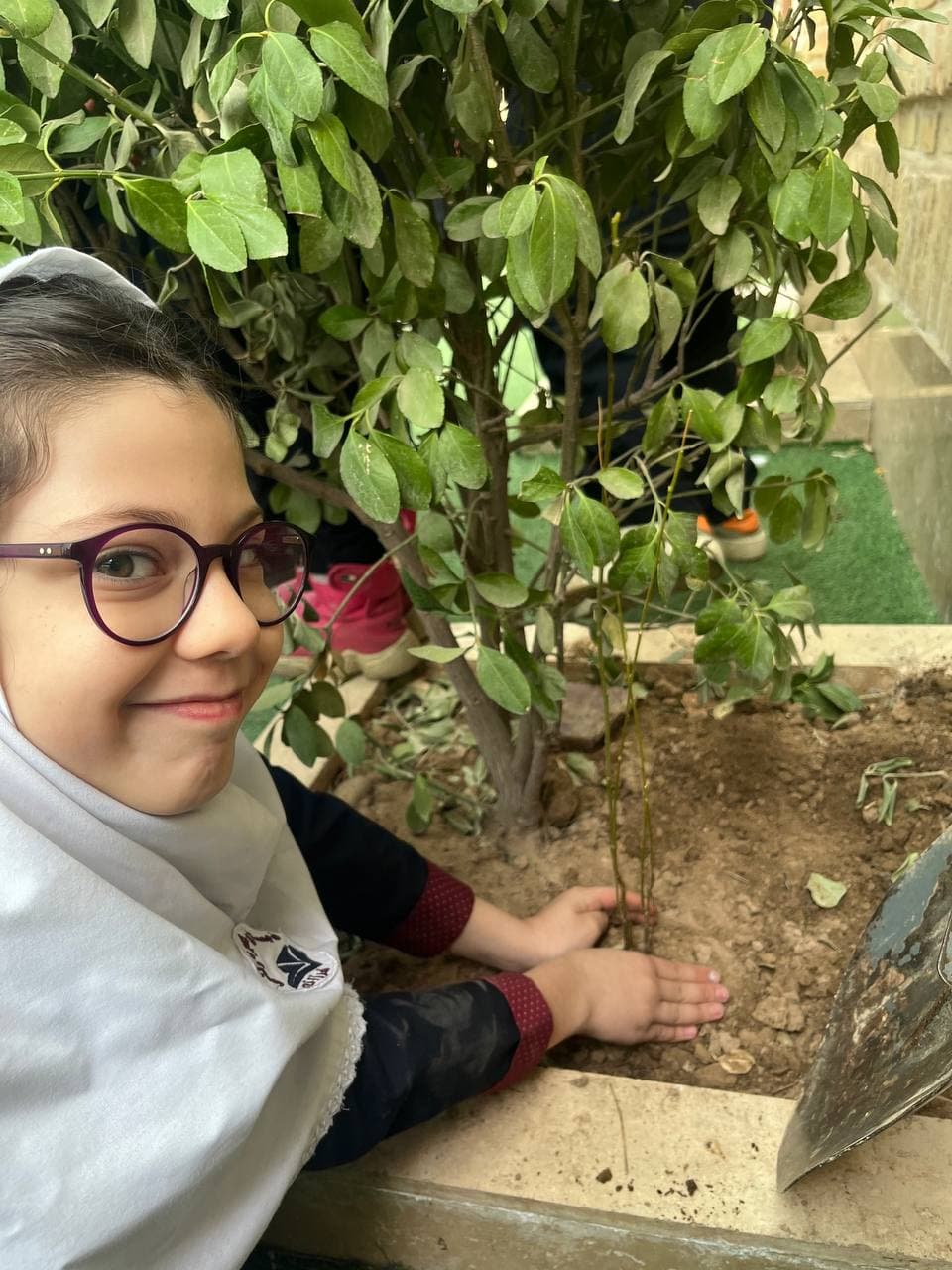 تصویر مقاله