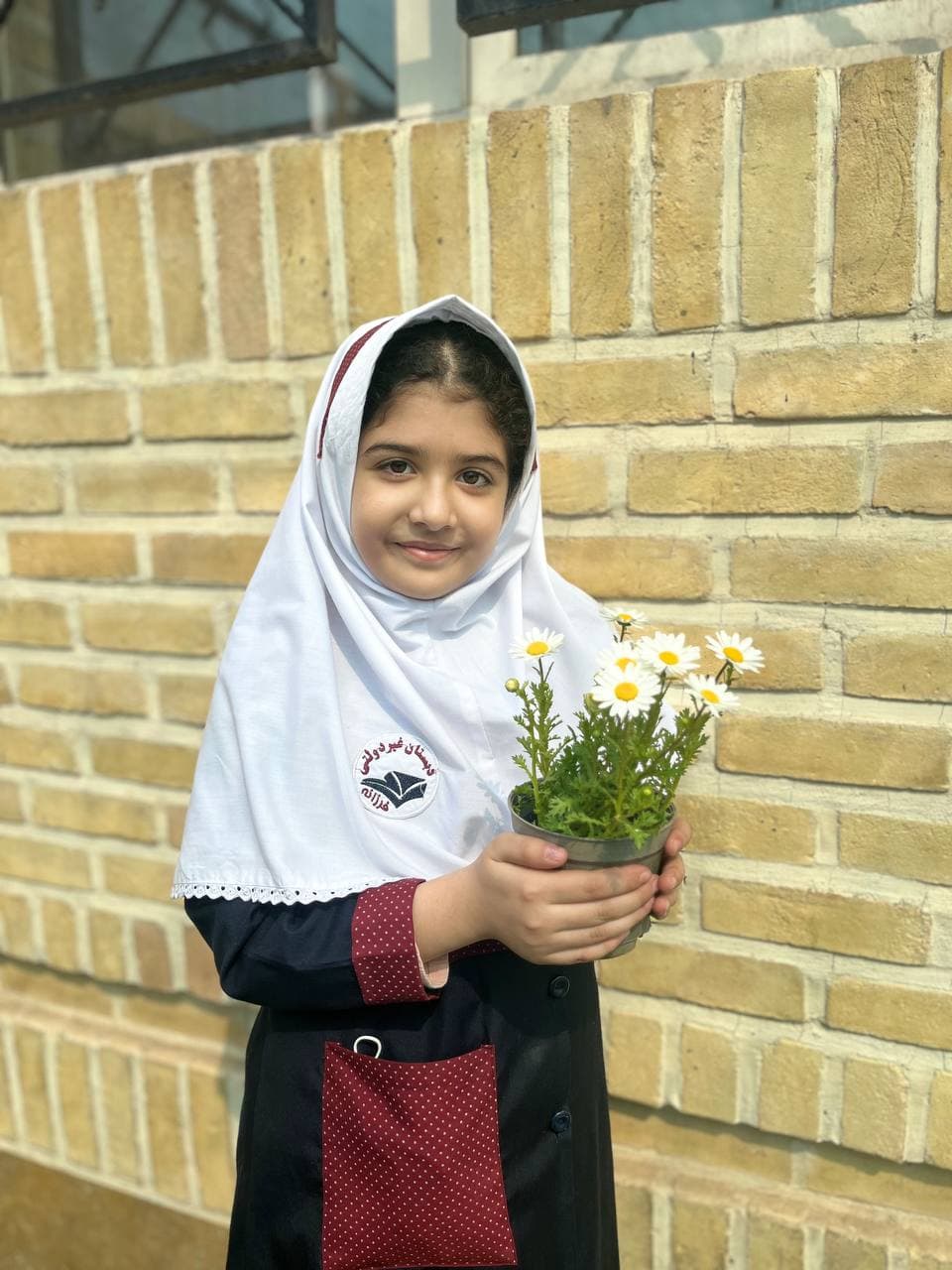 تصویر مقاله
